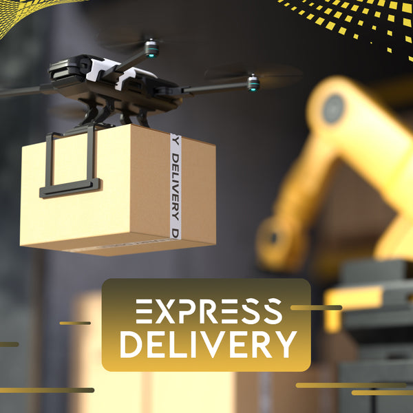 Express Delivery